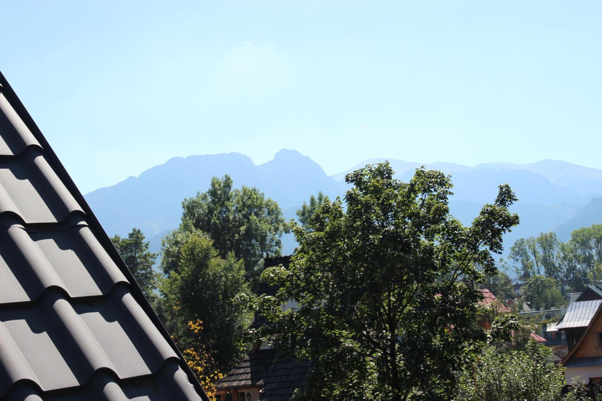 Zakosunflower Zakopane Buitenkant foto